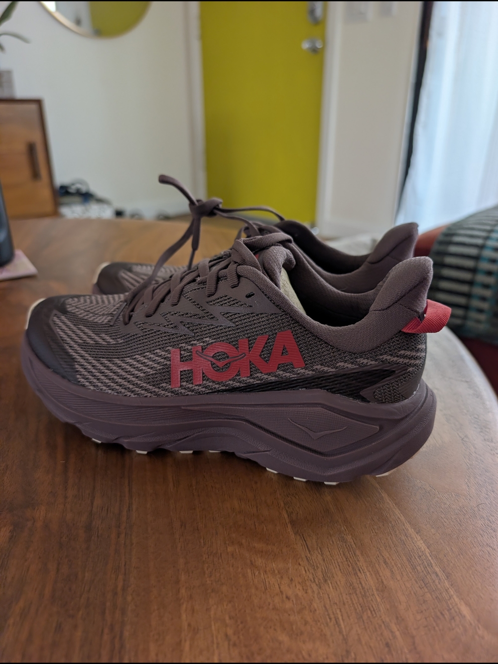 HOKA Challenger 8 GTX Trail Runners